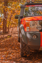 Land Rover Discovery 3 G4 Experience In The Autumn Woods