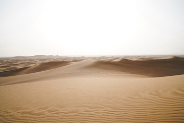 landscape of sand dunes desert