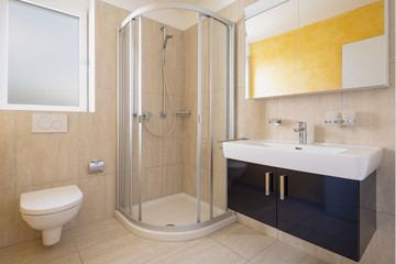 Bathroom with toilet, cabinet with sink and mirror and shower