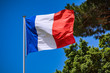French waving flag with blue, white and red, against a blue sky and green trees