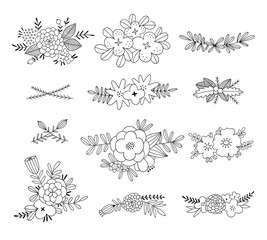 Canvas Print - Gentle flowers compositions vector set. Beautiful floral illustrations with plants and leaves on white background