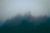Fototapeta Na ścianę - mysterious autumn landscapes covered with heavy fog