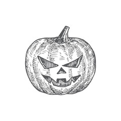 Wall Mural - hand drawn halloween scary pumpkin vector illustration. abstract jack lantern sketch. engraving styl