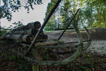 Wall Mural - Holzfäller alter Lastenschlitten 