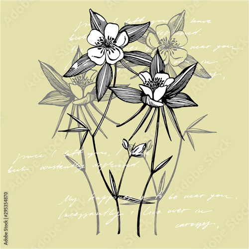 Double Columbine flowers. Collection of hand drawn flowers and plants. Botany...