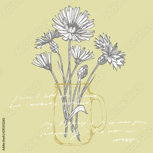 Tansy and Chamomile. Bouquet of hand drawn flowers and herbs. Botanical plant...