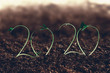 2020 new year and farm growth concept