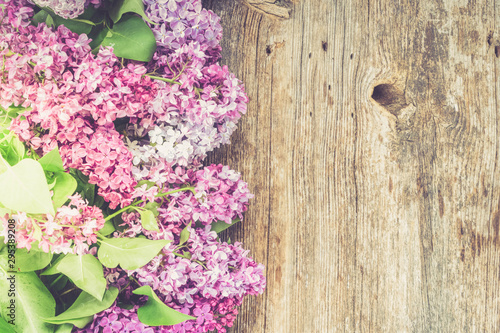 Fresh lilac flowers