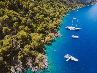 Wall Mural - Aerial drone perspective of luxury Turkish gulets and yachts in the deep blue and turquoise waters of the mediterranean sea. The bay and cliffs protect the boats from the strong winds.