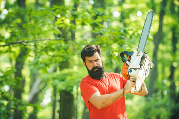 Wall Mural - Lumberjack in the woods with chainsaw axe. Professional lumberjack holding chainsaw in the forest. Woodworkers lumberjack. Man doing mans job.