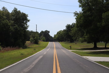 driving on highway. two-way road divided by two yellow solid lines. two lane road. road with trees on both sides, through the Florida forest