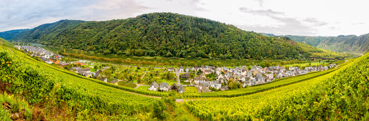 Poster - Bilderbuchlandschaft vor Ediger-Eller an der Mosel