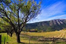 View Beyond Row Of Trees On Isolated Valley With French Farm House And Mountains Background Against Blue Sky With Cirrus Clouds - Gorges Du Verdon, Provence, France