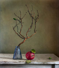 Still life with an apple and a pine branch. Minimalism. Red apple with leaves. An interesting pine branch and a small cone.