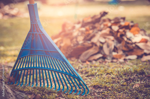 Fotografía Pile of fall leaves with fan rake on public park.