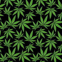 Seamless black vector pattern of hand drawn marijuana leaves