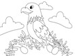 Cute eagle vector clipart coloring page contour background