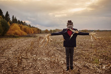 Scarecrow Stands In The Autumn Field Against The Evening Sky