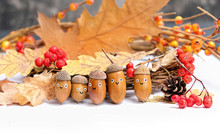 Acorns, Berries And Oak Leaves. Funny Acorns Emotion Face. Cute Family Of Acorns In Hats. Children's Creativity From Forest Harvest. Funny Figures Made With Acorns. Close Up, Soft Selective Focus