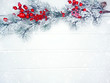 © Anastasia Tsarskaya - winter background with fir branches cones and snow