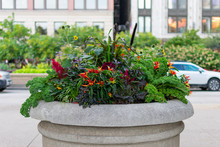 Beautiful Planter On Michigan Avenue In Downtown Chicago With Plants And Flowers