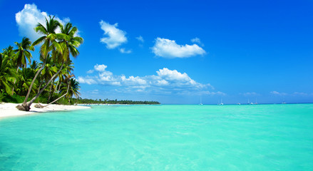 Canvas Print - Beach and beautiful tropical sea. tropical landscapes