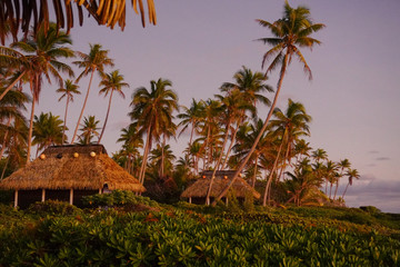 Wall Mural - The sun rises in front of bungalows surrounded by palm trees at a resort on the island of Fakarava in French Polynesia