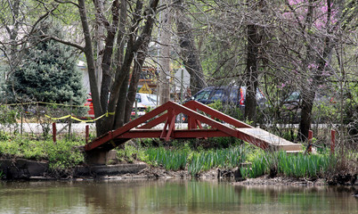 Wall Mural - bridge over river