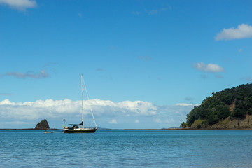 Wall Mural - Mahurangi regional park north of Auckland, New Zealand