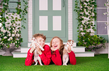 Happy mom and son pose on green grass with two cute little husky puppies