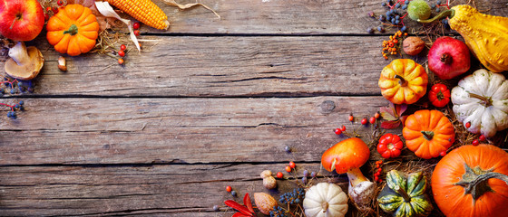 Wall Mural - thanksgiving banner - pumpkins and on rustic plank