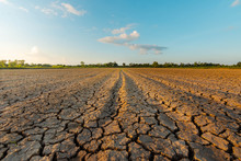 The Land Is Dry And Parched Because Of Global Warming.