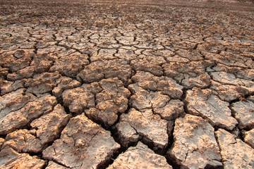 The land is dry and parched because of global warming.