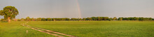 Panorama Of Typical Landscape In The Pantanal Wetlands With A Rainbow At The Horizon In Warm Light, Mato Grosso, Brazil