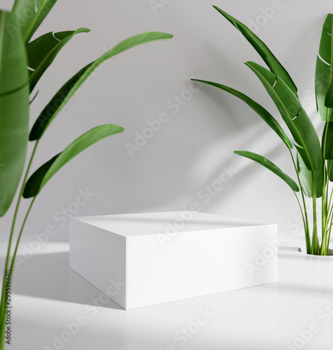 Fotografía Blank product stand with tropical plants. 3d rendering