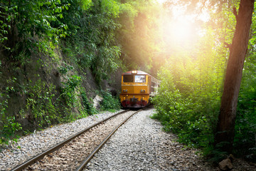 The train on the train tracks and the trees with the sunset