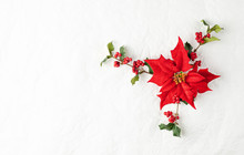 Christmas Decoration With Poinsettia Flowers And Holly Berry On White Background. Festive Winter Holiday Concept.
