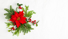 Christmas Decoration With Poinsettia Flowers And Holly Berry On White Background. Festive Winter Holiday Concept. Flat Lay.