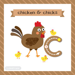 Wall Mural - Letter C lowercase tracing. Chicken and Chicks