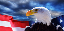 North American Bald Eagle (Haliaeetus Leucocephalus) And USA Flag With Dark Storm Clouds At The Background. United States Of America Patriotic Symbols.