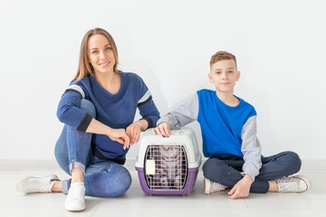 Positive good-looking mother and son launch their beautiful gray Scottish Fold cat into their new apartment after the move. Housewarming concept.