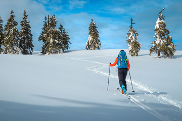 ski touring in the deep fresh snow, transylvania, carpathians, romania