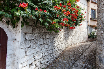  flowers on the wall