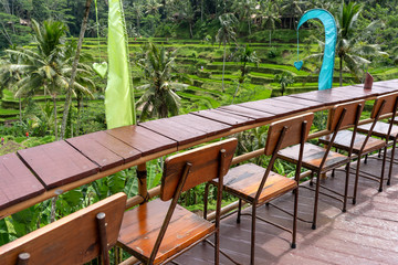 Wall Mural - Wooden table and chairs in empty tropical cafe next to rice terraces in island Bali, Indonesia