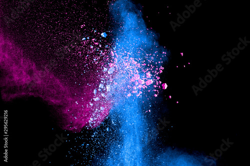 Explosion of pink blue colored powder isolated on black background.Blue pink ...
