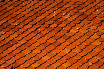 Wall Mural - Natural orange roof tiles on a building as a texture.