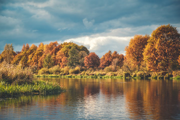 Picturesque autumn forest by the river.