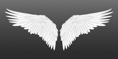 Realistic wings. Pair of white isolated angel style wings with 3D feathers on transparent background. Vector illustration bird wings design