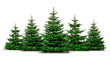 Grüne Wehnachtsbäume isoliert auf weißem Hintergrund