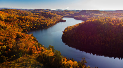 Wall Mural - laurentian forest landscape in autumn, quebec, canda